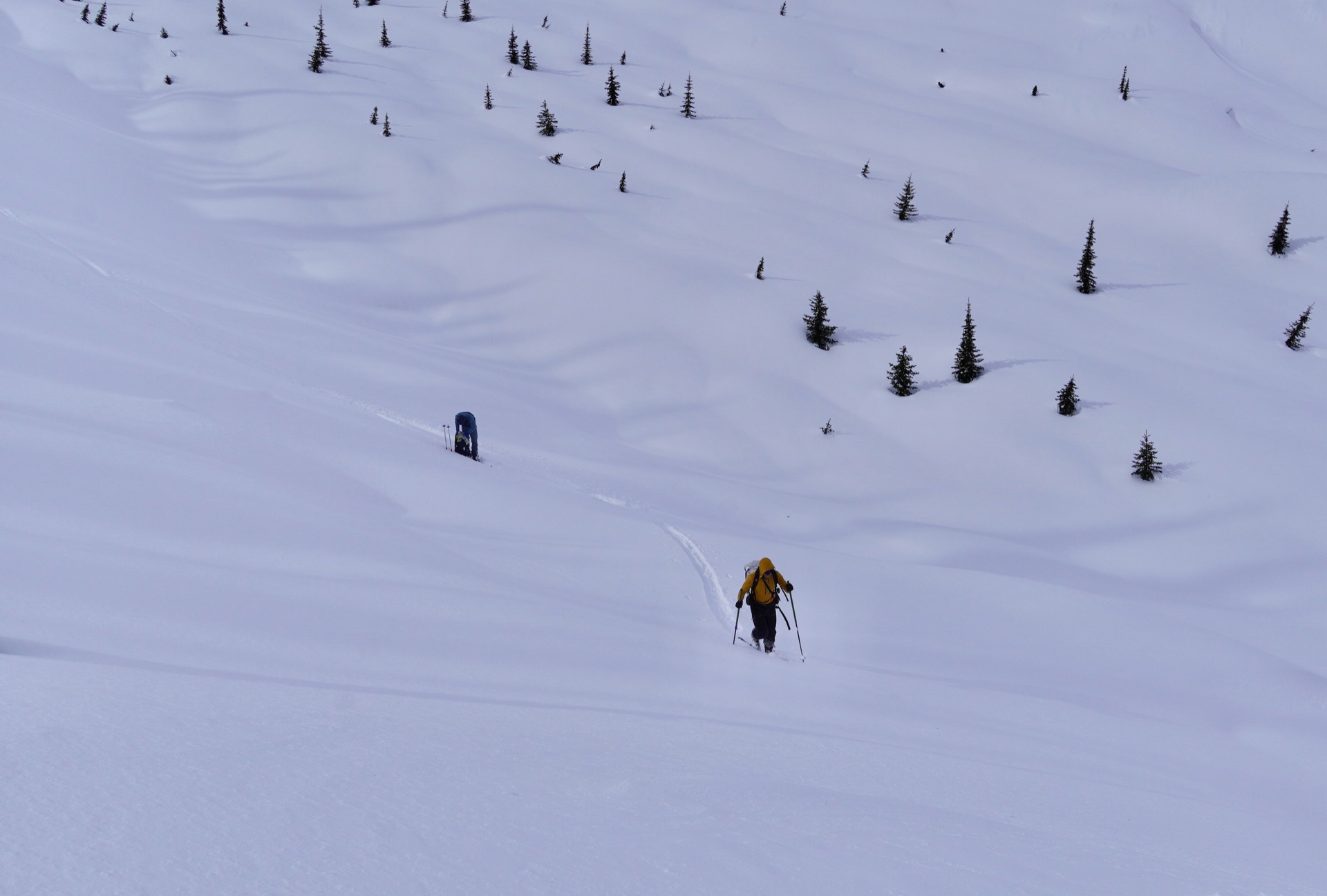 asulkan_rogers_pass - 39.jpg